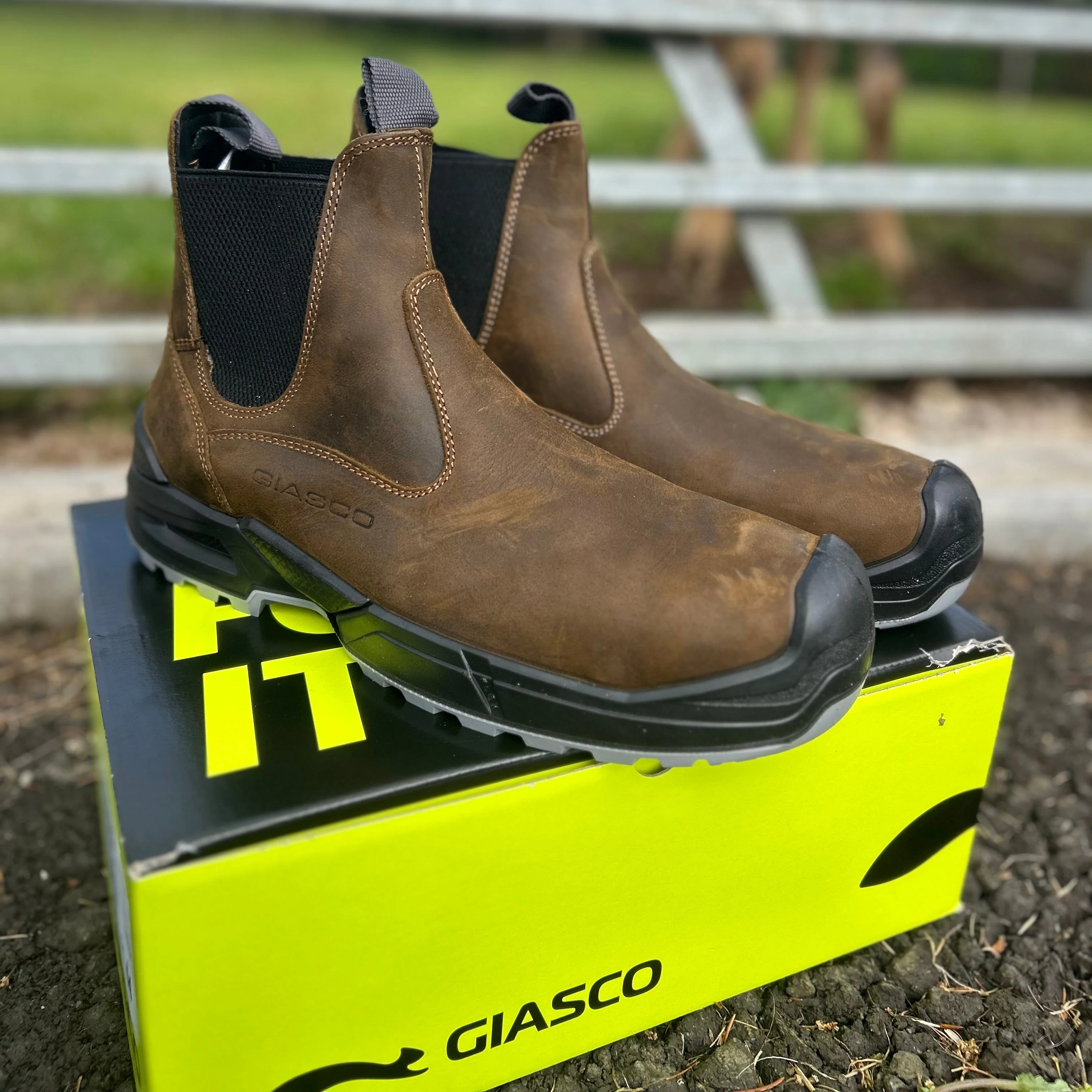 Giasco Quartz Safety Dealer Boot - Image 5