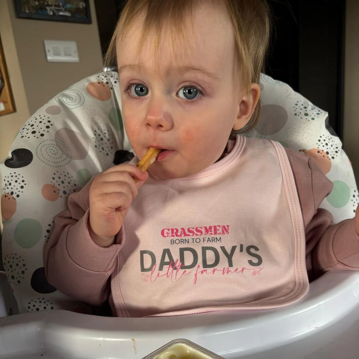 GRASSMEN Daddy's Little Farmer Baby Bib - Image 8