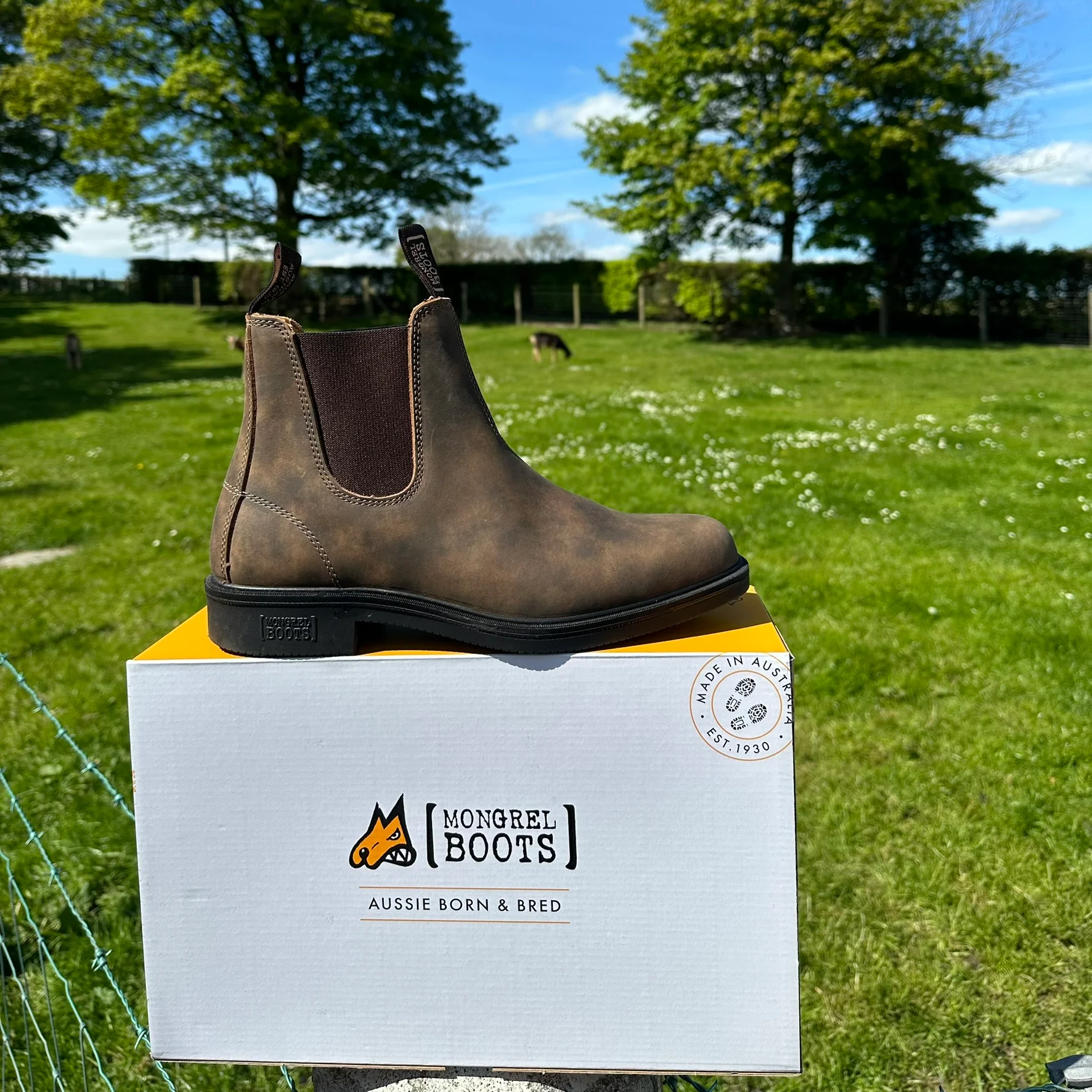 Mongrel Dealer Boots, Cloudy Brown, Chisel Toe, Non-Safety K92075 - Image 31