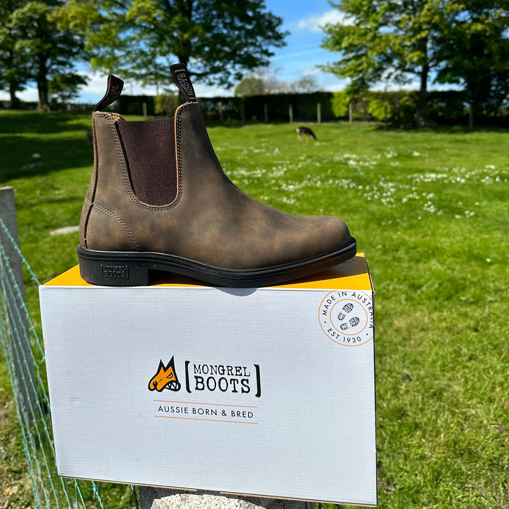 Mongrel Dealer Boots, Cloudy Brown, Chisel Toe, Non-Safety K92075 - Image 32
