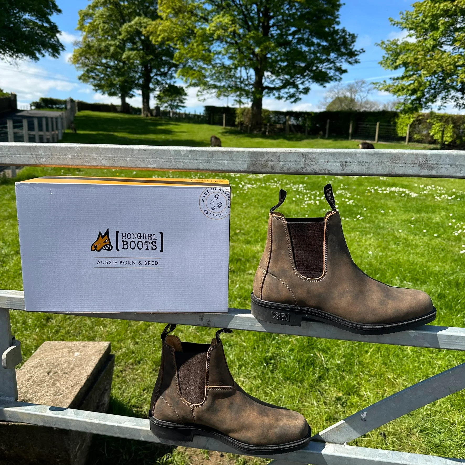 Mongrel Dealer Boots, Cloudy Brown, Chisel Toe, Non-Safety K92075 - Image 35